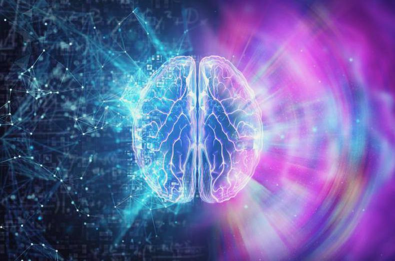 Biostrukturalna analiza mózgu – przegląd informacyjny